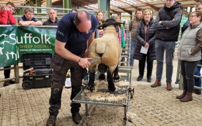 OPEN DAY FOR NEW BREEDERS